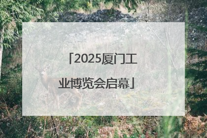 2025厦门工业博览会启幕