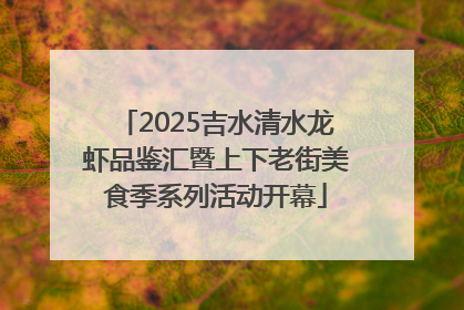 2025吉水清水龙虾品鉴汇暨上下老街美食季系列活动开幕