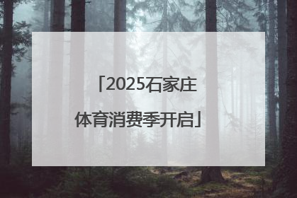 2025石家庄体育消费季开启