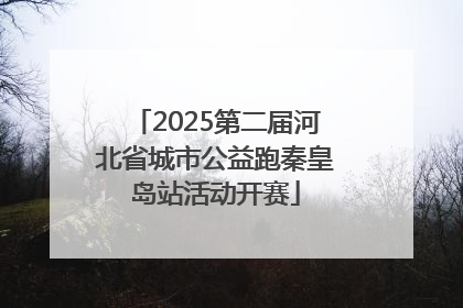2025第二届河北省城市公益跑秦皇岛站活动开赛