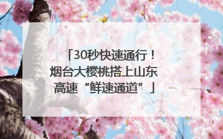 30秒快速通行！烟台大樱桃搭上山东高速“鲜速通道”