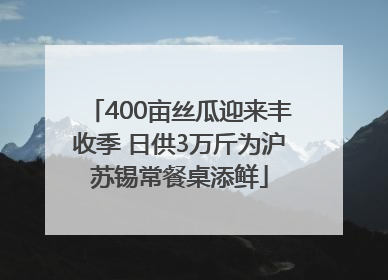 400亩丝瓜迎来丰收季 日供3万斤为沪苏锡常餐桌添鲜