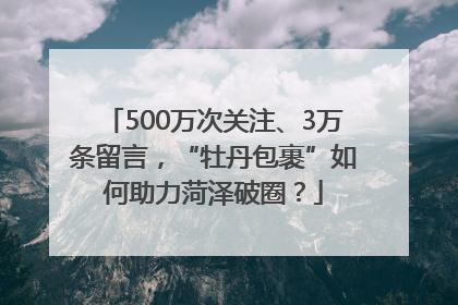 500万次关注、3万条留言，“牡丹包裹”如何助力菏泽破圈？