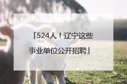 524人！辽宁这些事业单位公开招聘