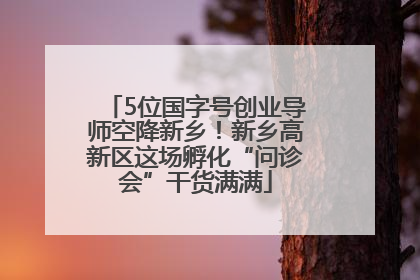 5位国字号创业导师空降新乡！新乡高新区这场孵化“问诊会”干货满满