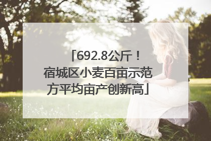 692.8公斤！宿城区小麦百亩示范方平均亩产创新高