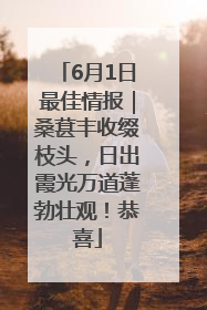 6月1日最佳情报｜桑葚丰收缀枝头，日出霞光万道蓬勃壮观！恭喜