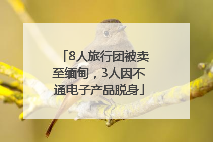 8人旅行团被卖至缅甸，3人因不通电子产品脱身