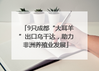 9只成都“大耳羊”出口乌干达，助力非洲养殖业发展