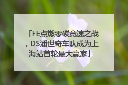 FE点燃零碳竞速之战，DS潘世奇车队成为上海站首轮最大赢家