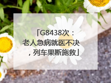 G8438次：老人急病就医不决，列车果断施救